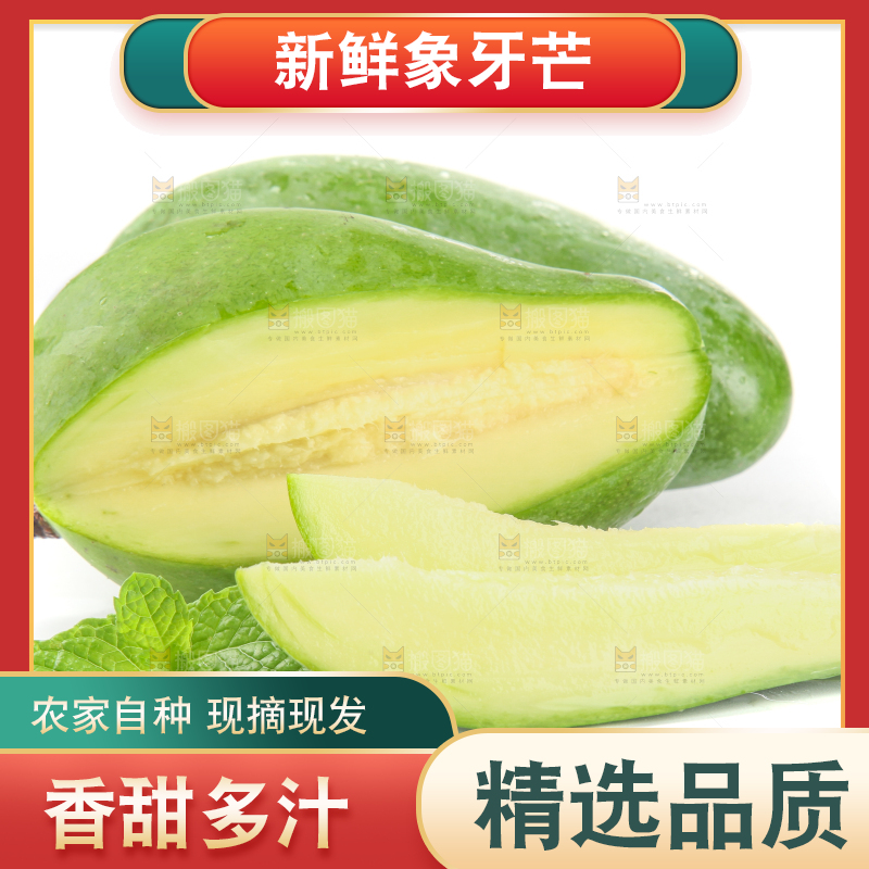 白底上的象牙芒