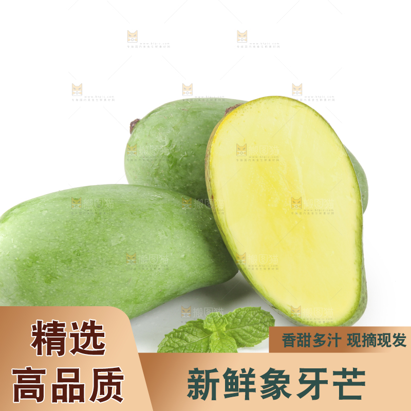 白底上的象牙芒