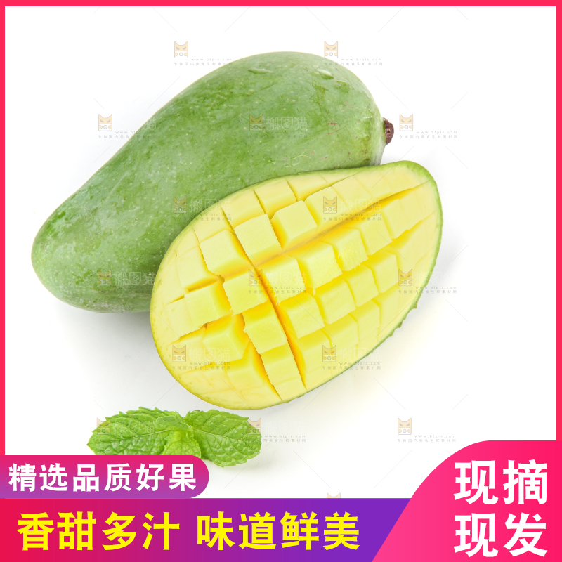 白底上的象牙芒