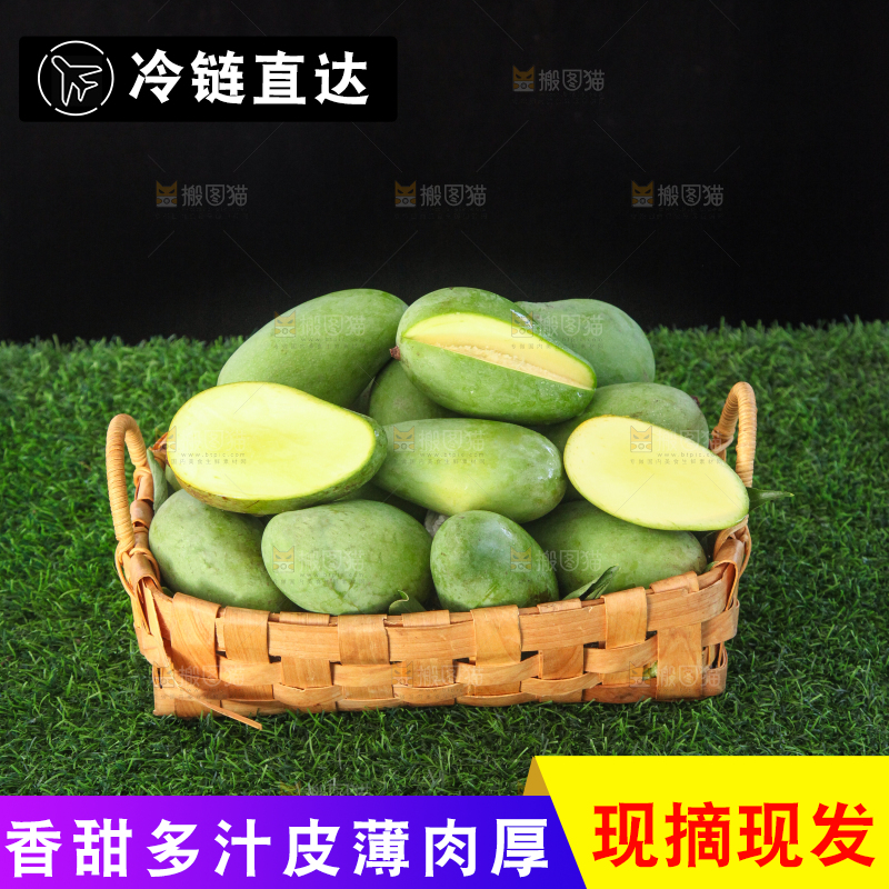 草地上的象牙芒