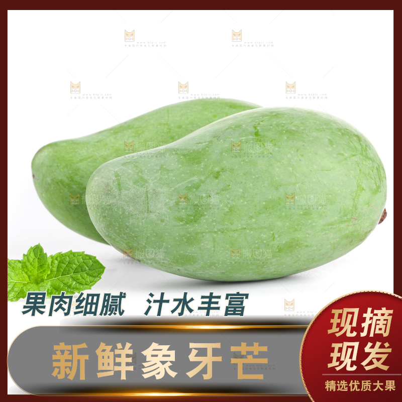 白底上的象牙芒