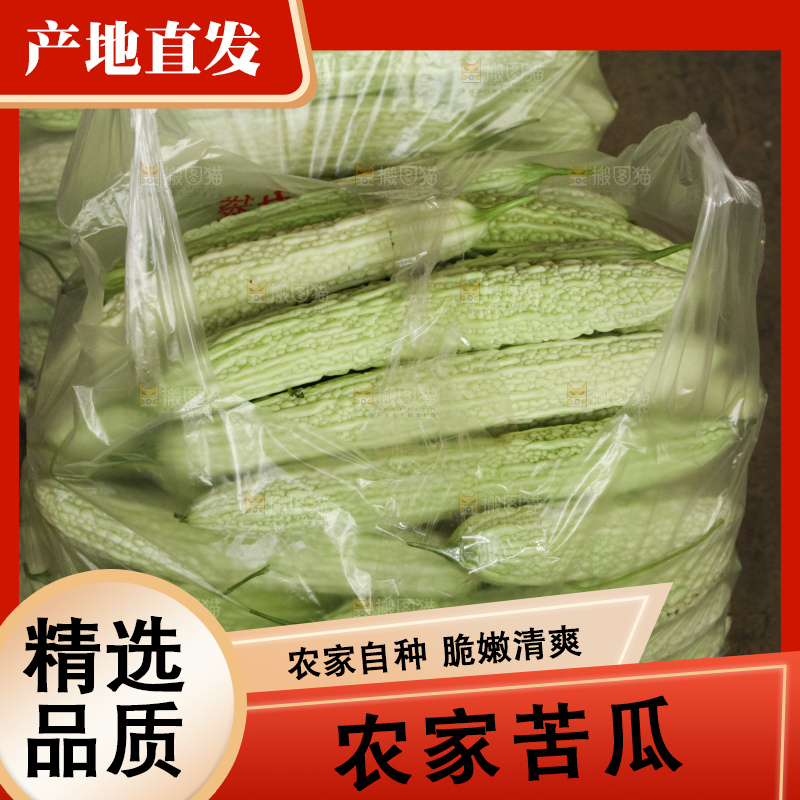 堆放着的新鲜苦瓜