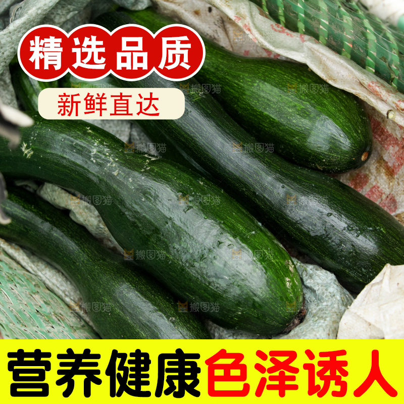 篮子里的现摘的南瓜