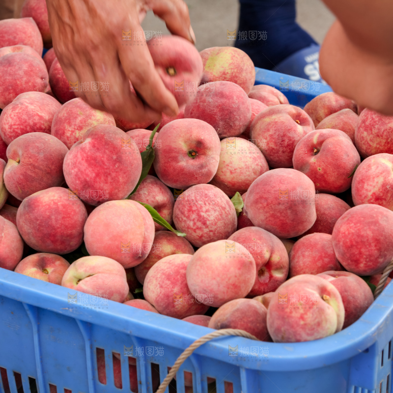 堆放着的胭脂红桃子