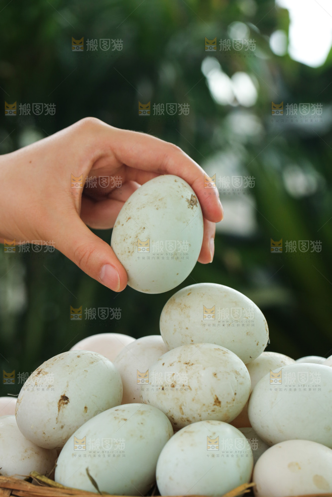 深底上的鸭蛋