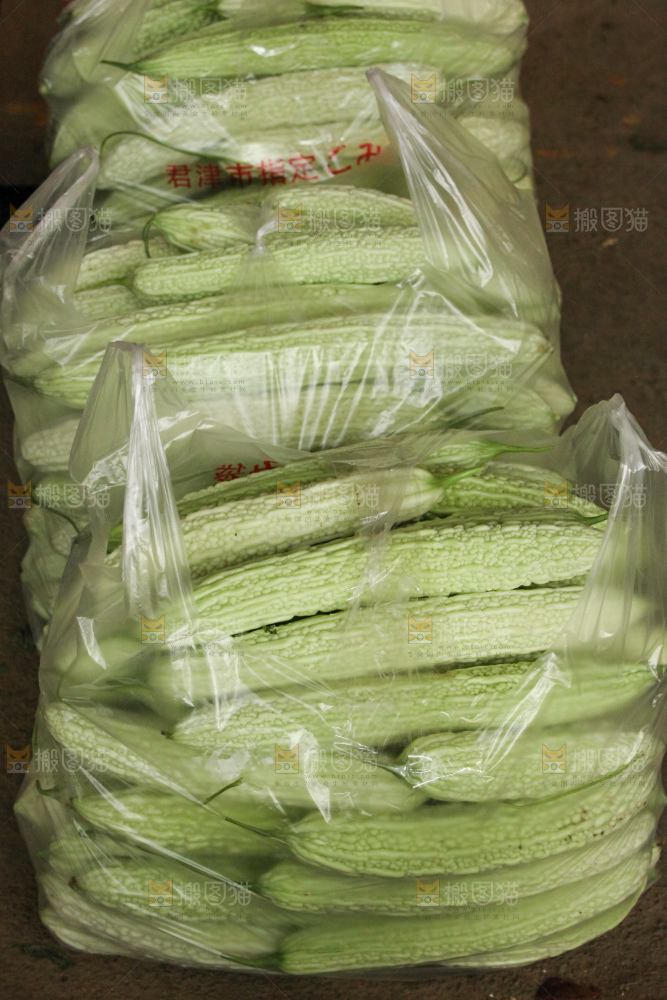 堆放着的新鲜苦瓜