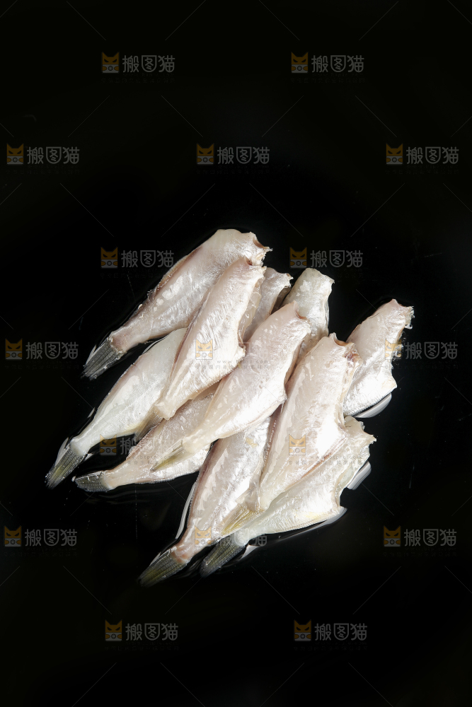 深底上的耗儿鱼