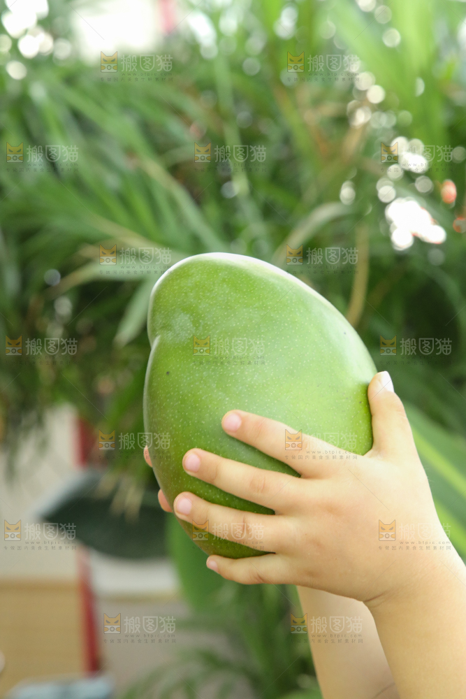 手里拿着凯特芒