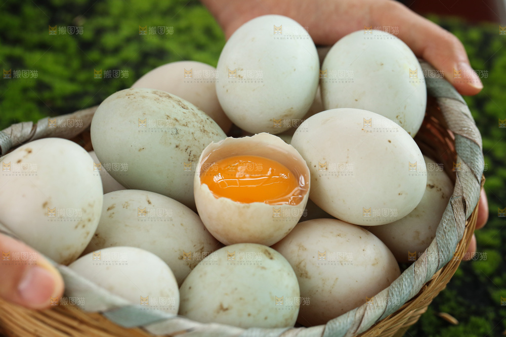 鸭蛋