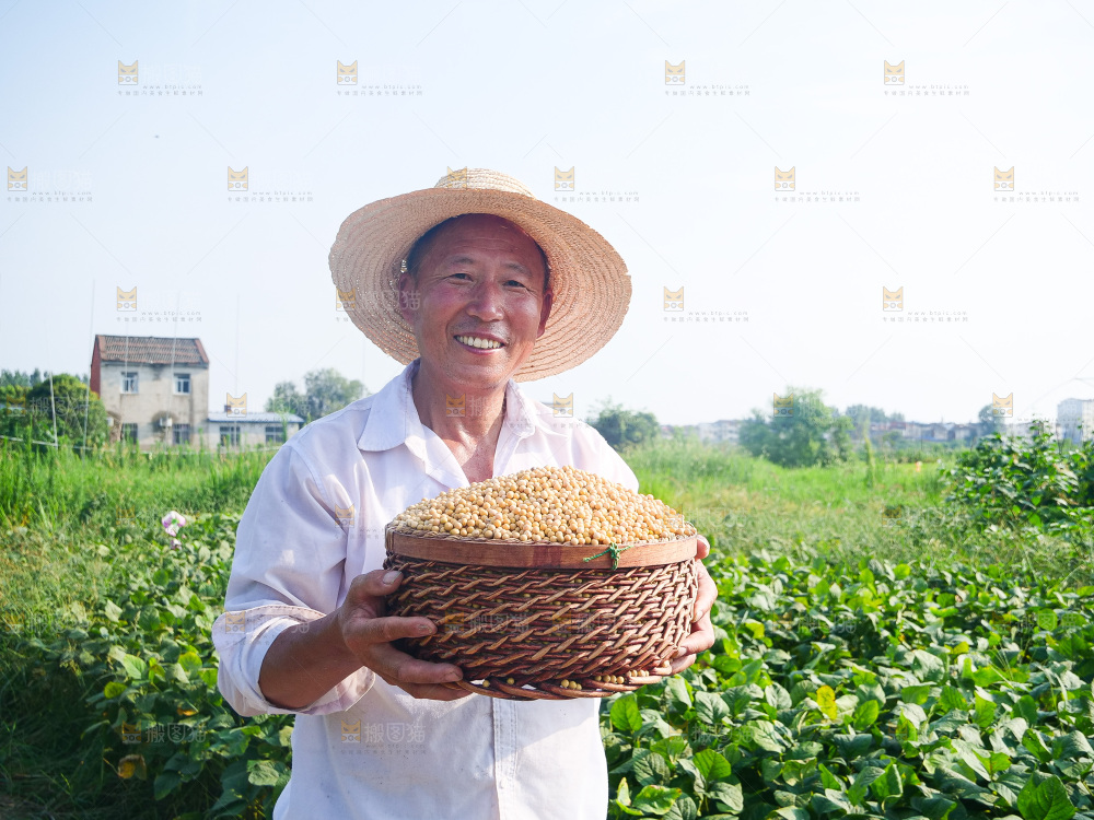 手里拿着黄豆
