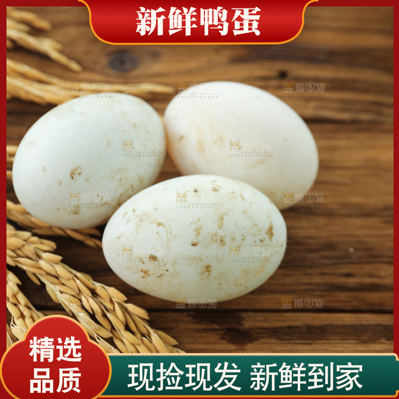 深底上的鸭蛋