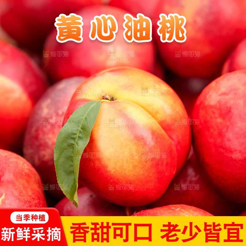 现摘的新鲜黄心油桃