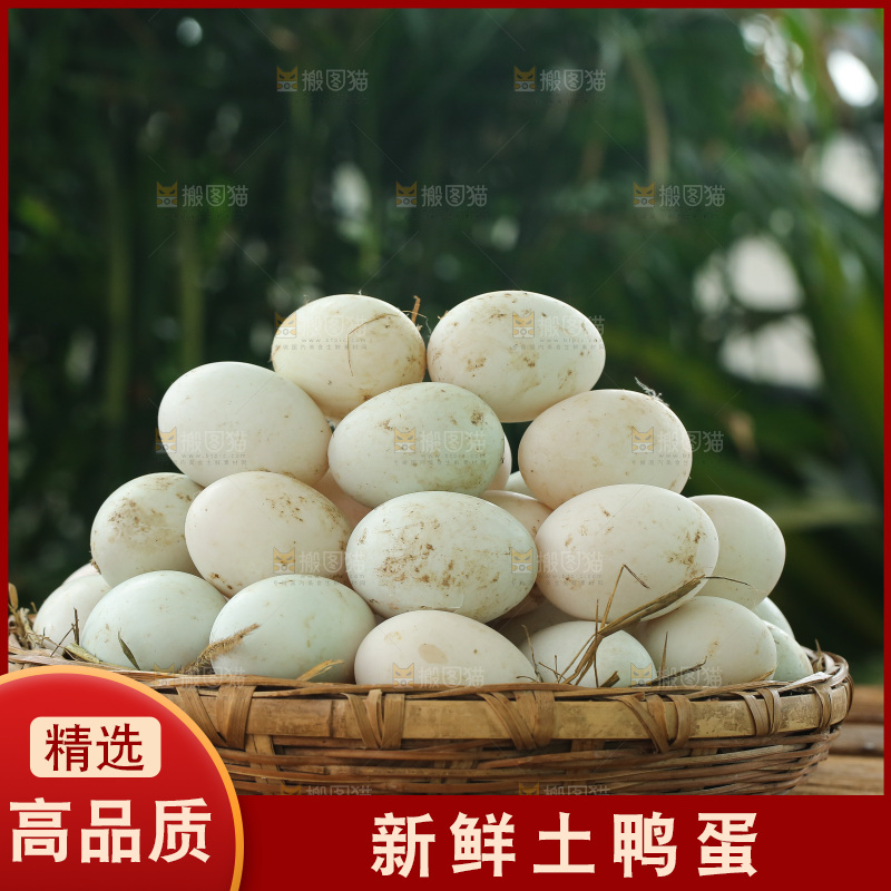 深底上的鸭蛋