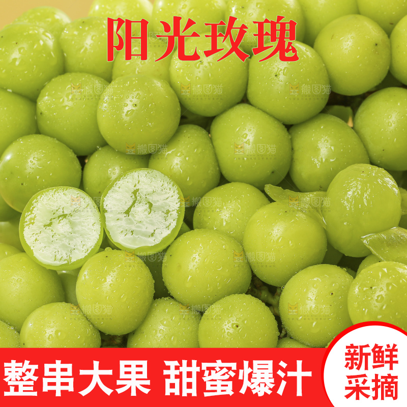 浅底上的阳光玫瑰青提
