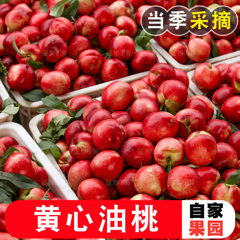 现摘的新鲜黄心油桃