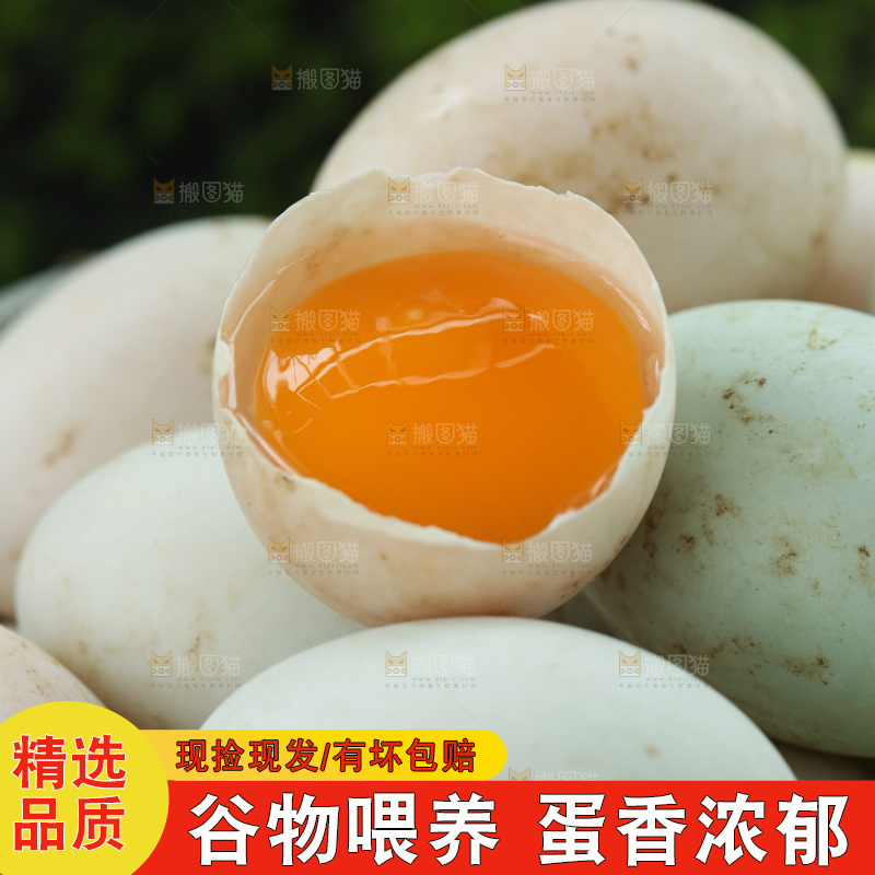 深底上的鸭蛋