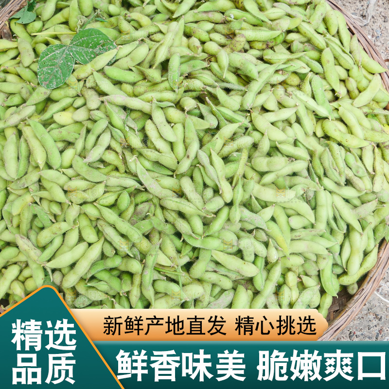 手里拿着现摘毛豆