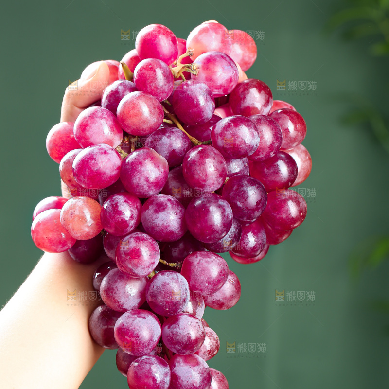 木底上的玻璃翠红提