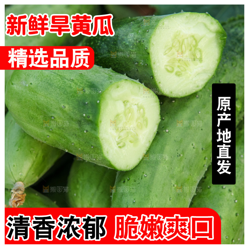 手里拿着刺黄瓜