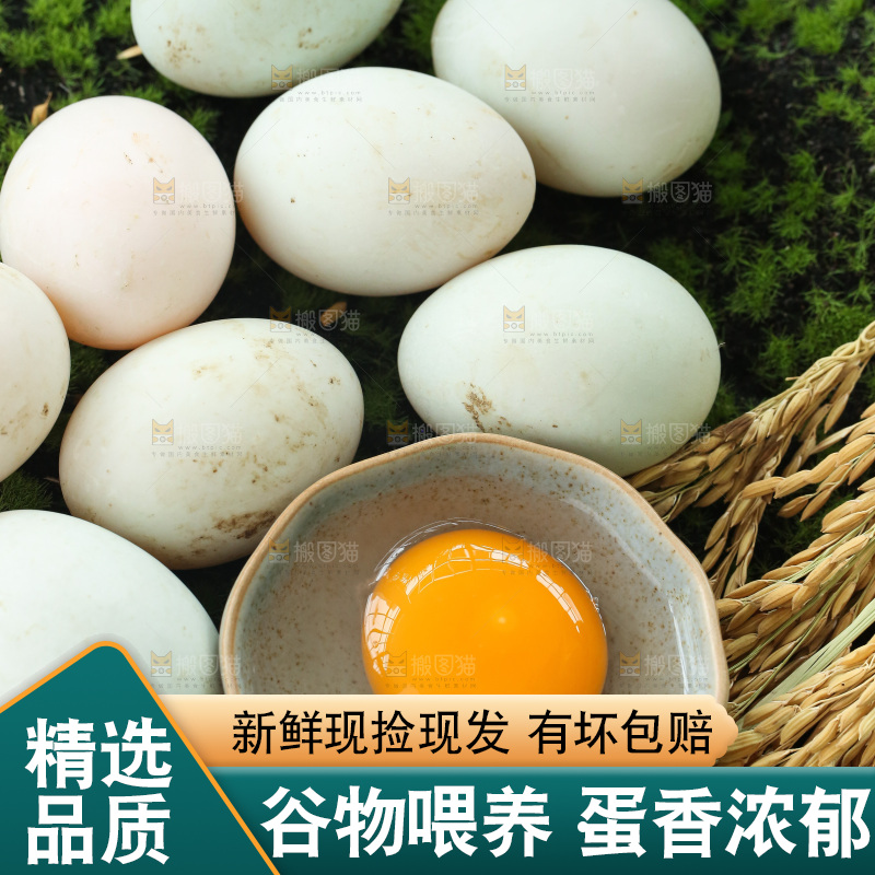 深底上的鸭蛋