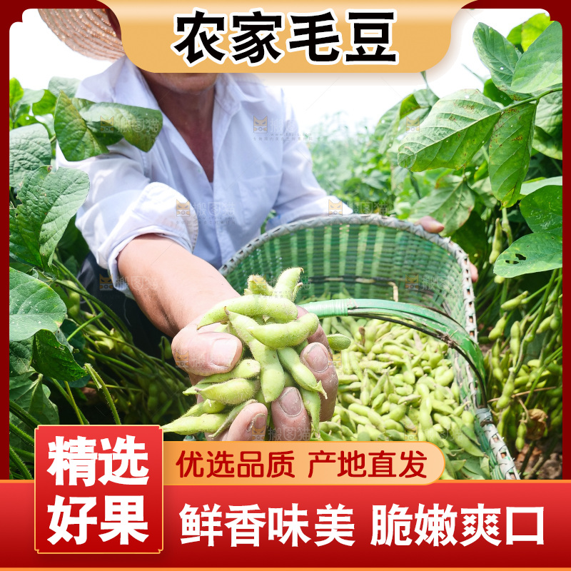 手里拿着现摘毛豆