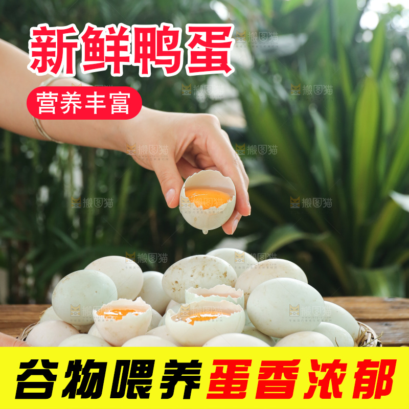 深底上的鸭蛋
