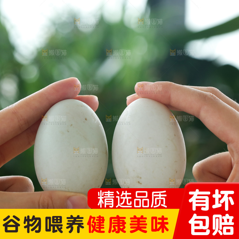 深底上的鸭蛋