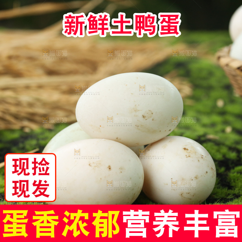 深底上的鸭蛋