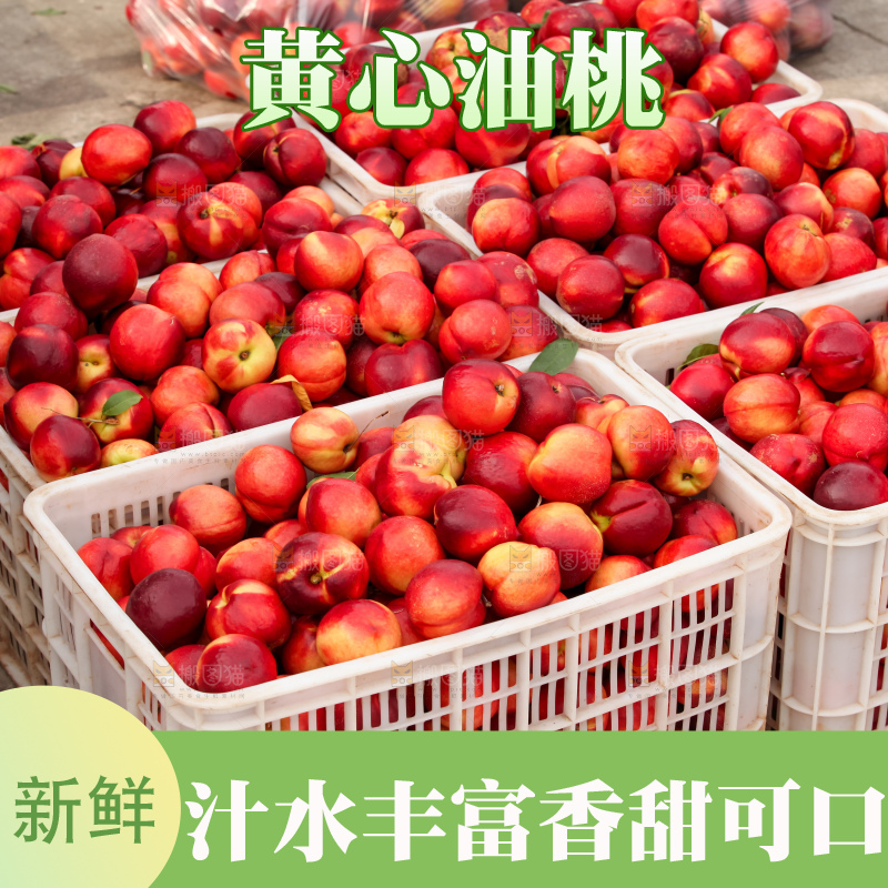 现摘的新鲜黄心油桃