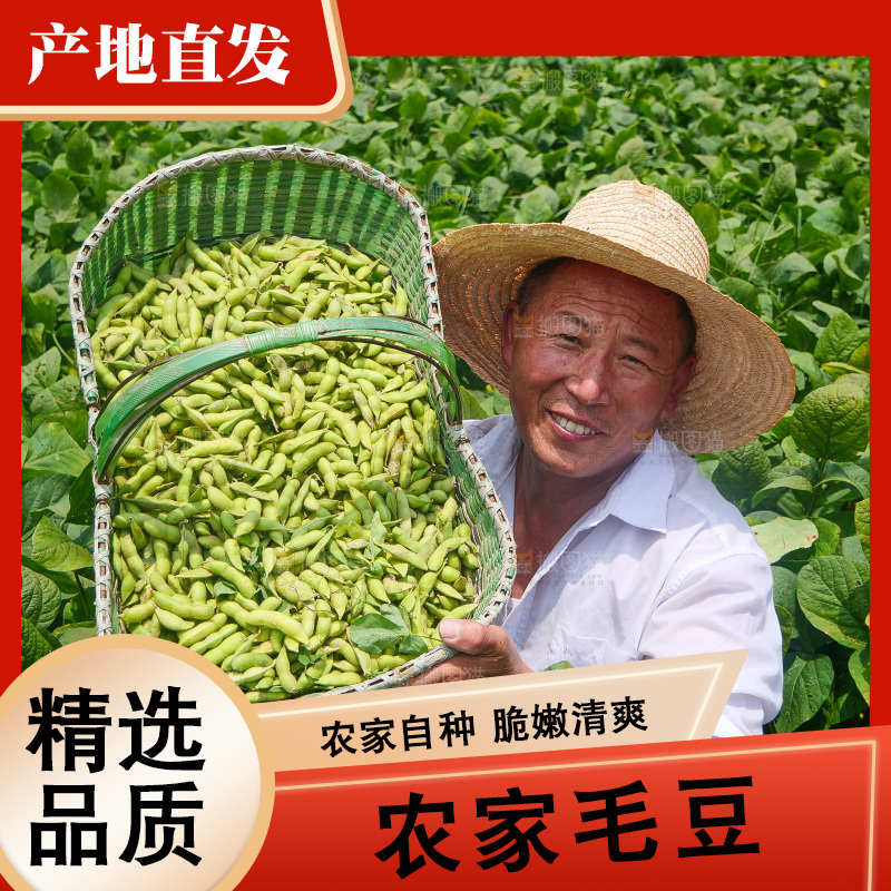 手里拿着现摘毛豆