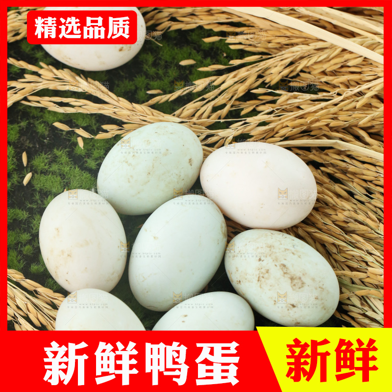 深底上的鸭蛋