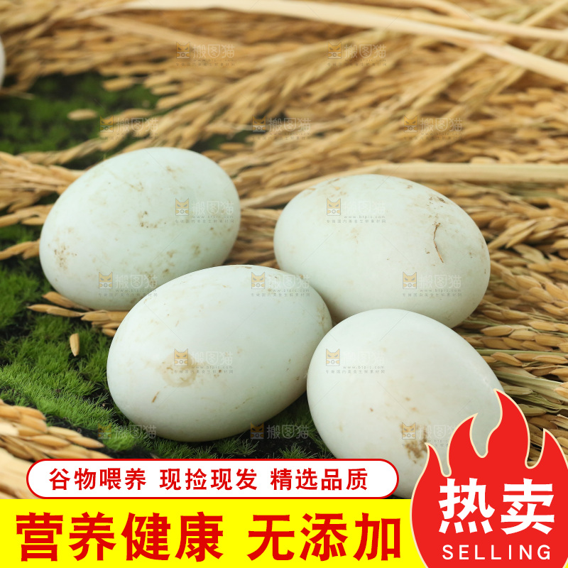 深底上的鸭蛋