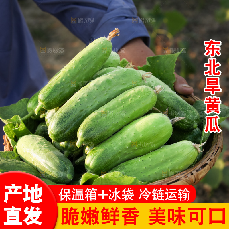手里拿着刺黄瓜