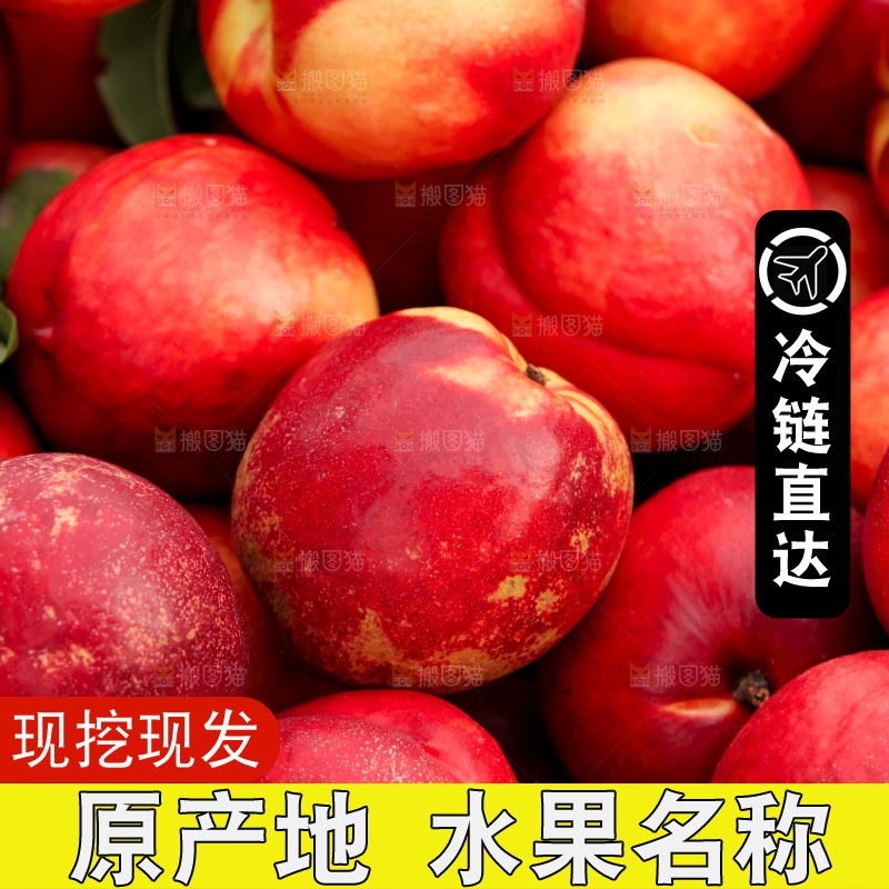 现摘的新鲜黄心油桃
