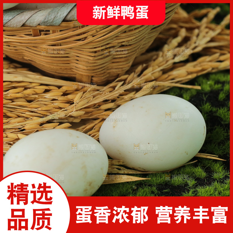 深底上的鸭蛋