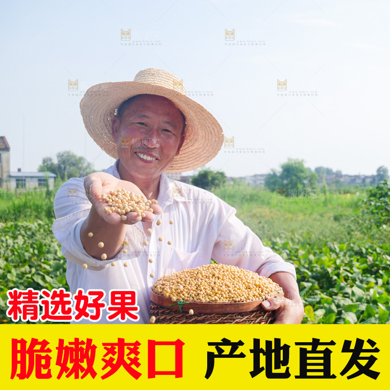 手里拿着黄豆