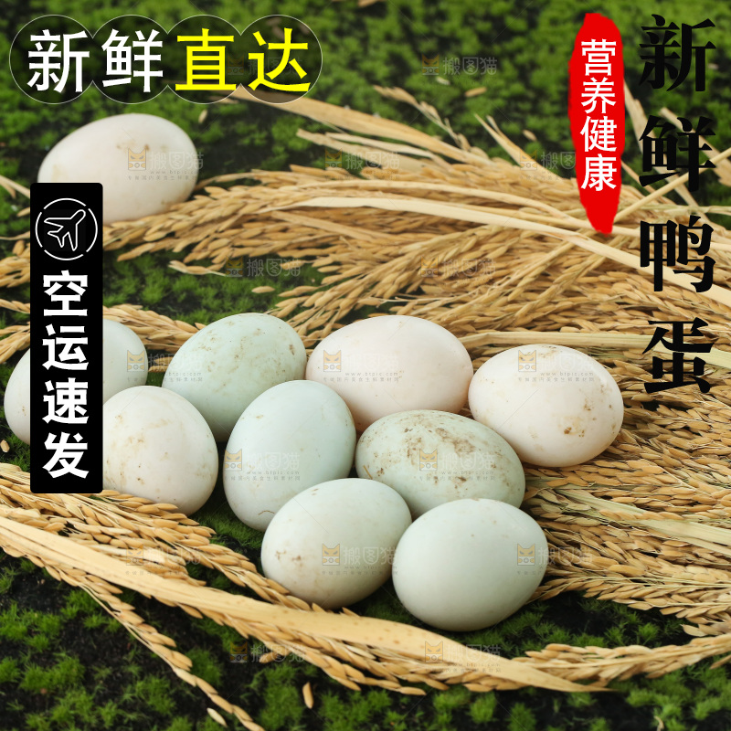 深底上的鸭蛋