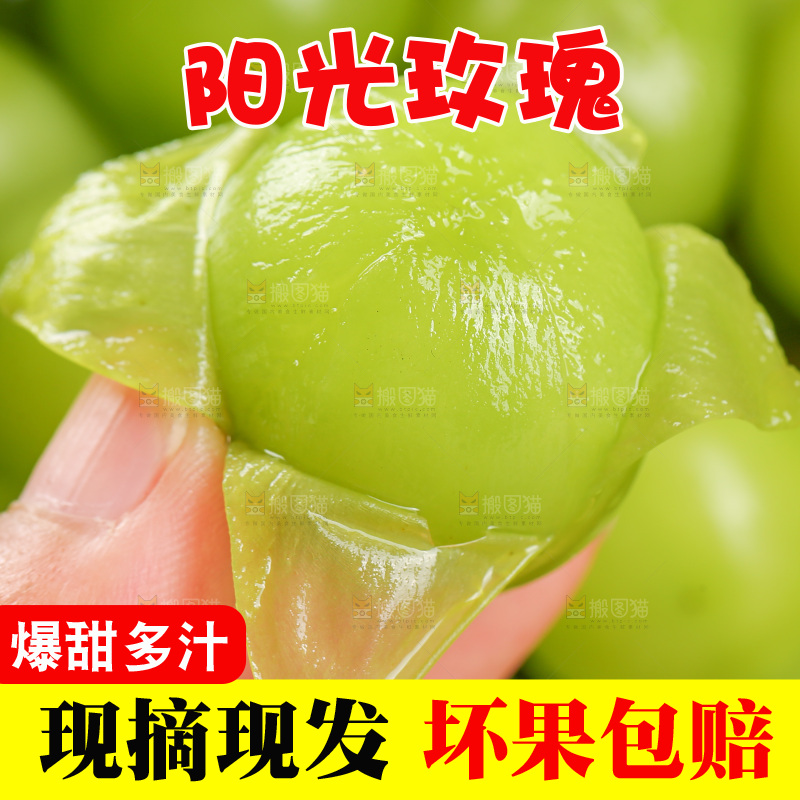 浅底上的阳光玫瑰青提