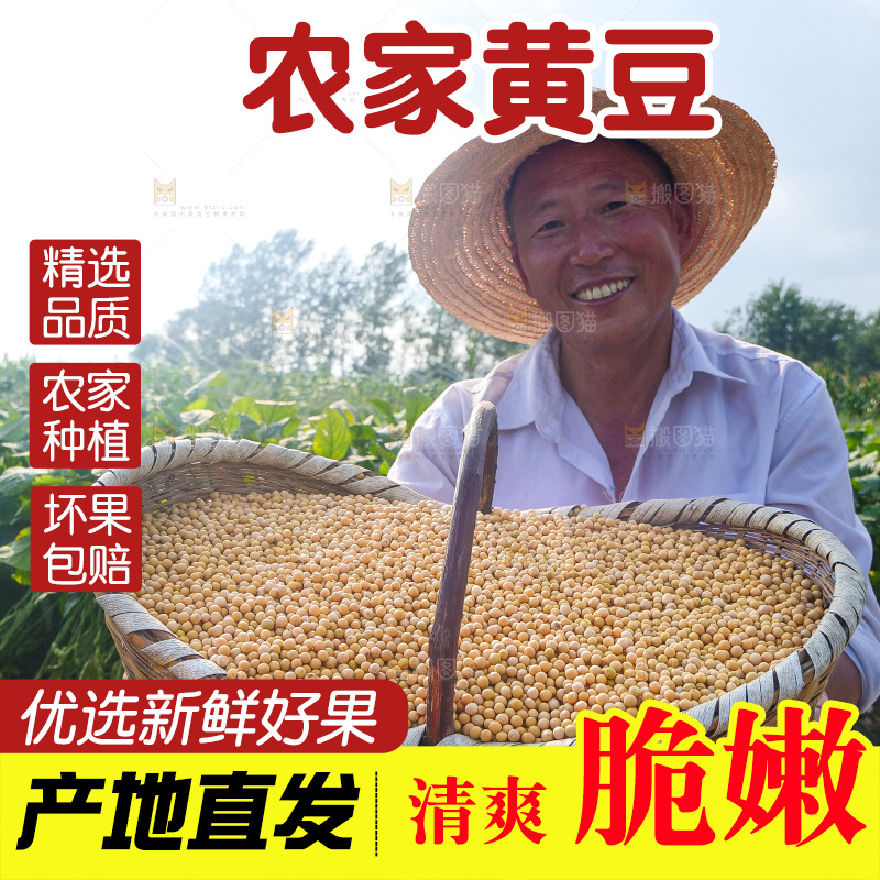 手里拿着黄豆