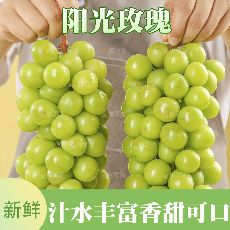 浅底上的阳光玫瑰青提