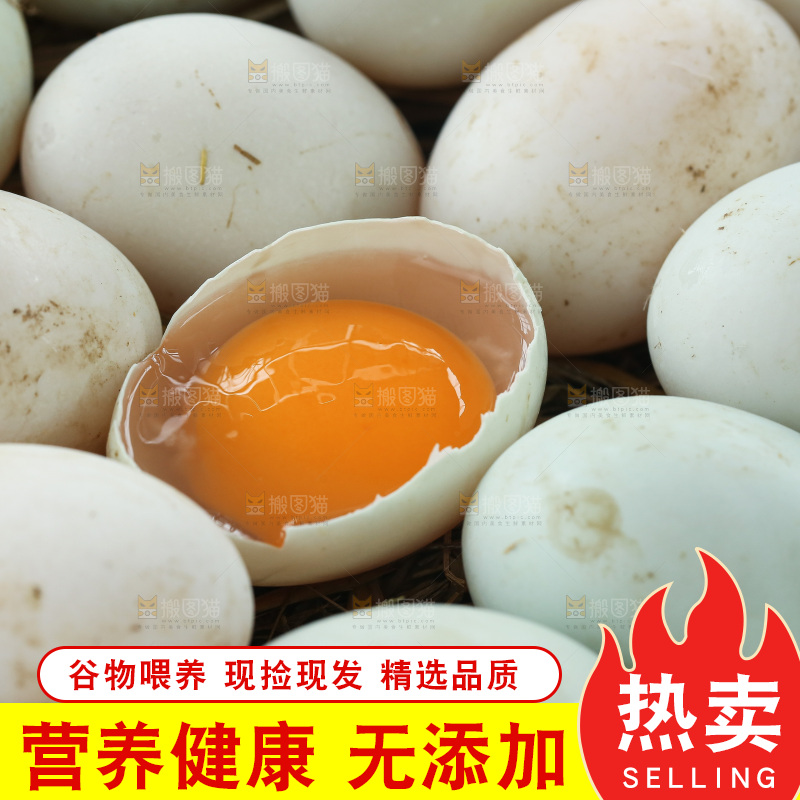 深底上的鸭蛋