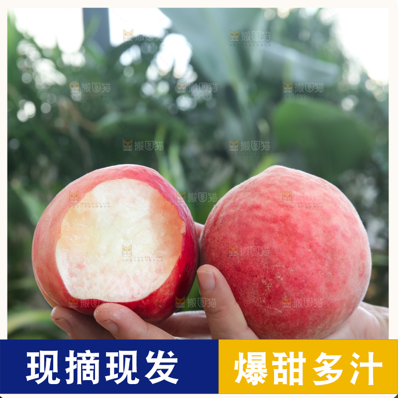 手里拿着红脆桃