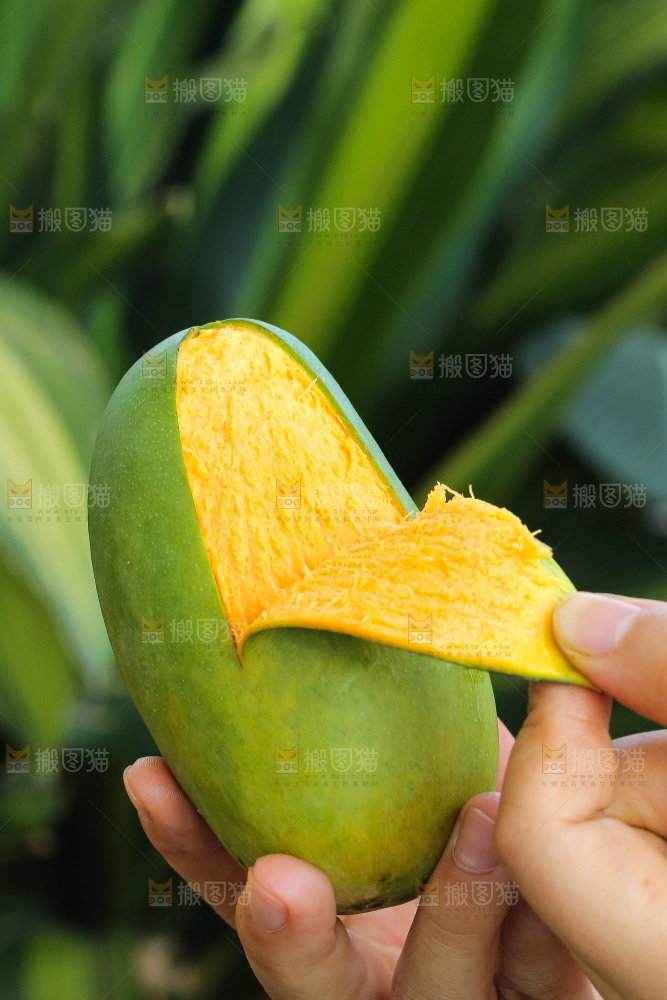 手里拿着椰香芒