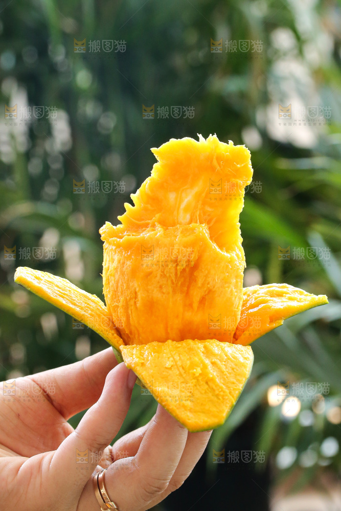 深底上的椰香芒