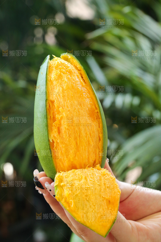 深底上的椰香芒