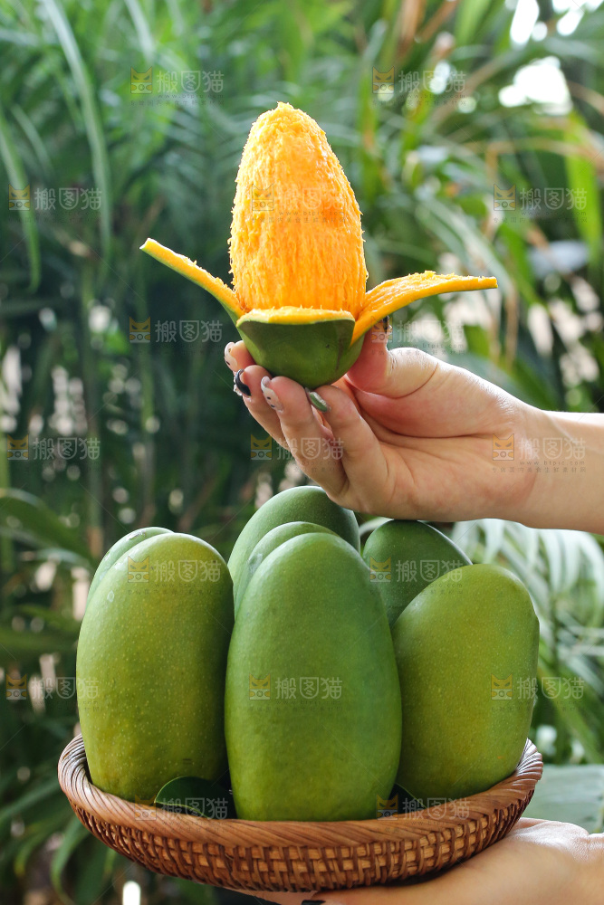 深底上的椰香芒
