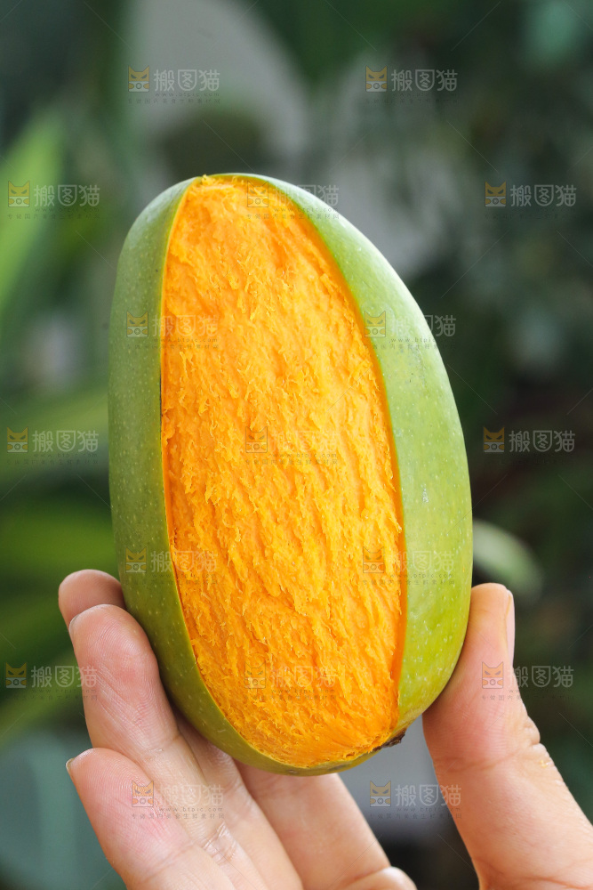 手里拿着椰香芒