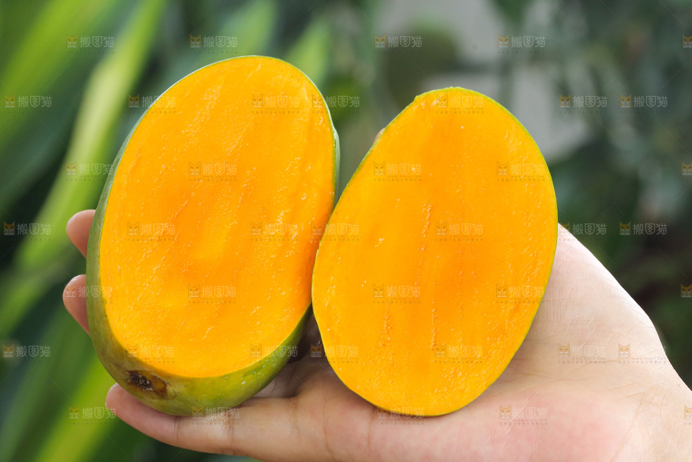 深底上的椰香芒