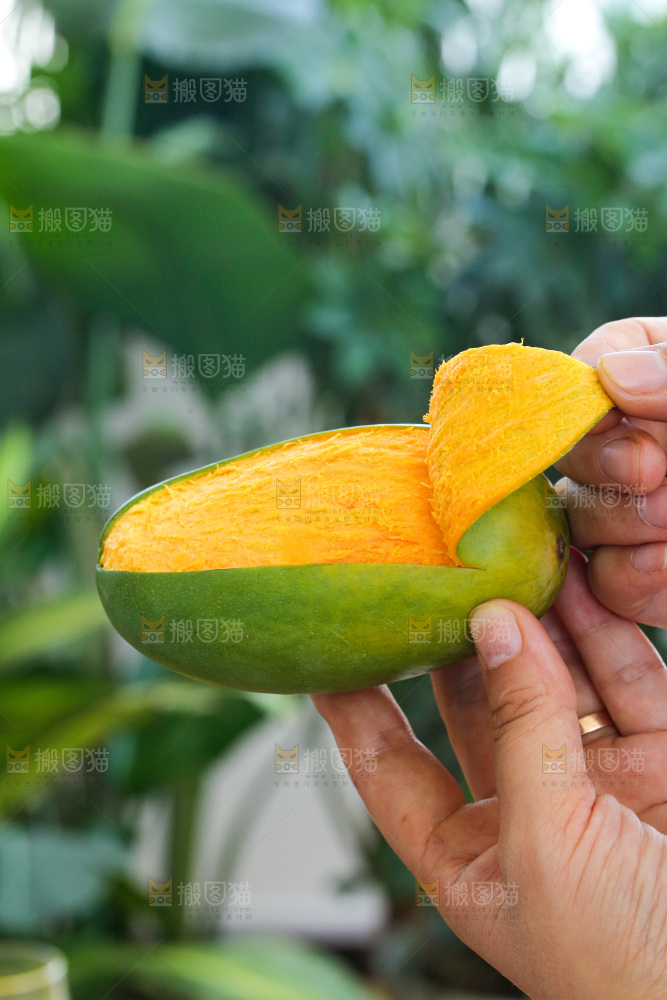手里拿着椰香芒