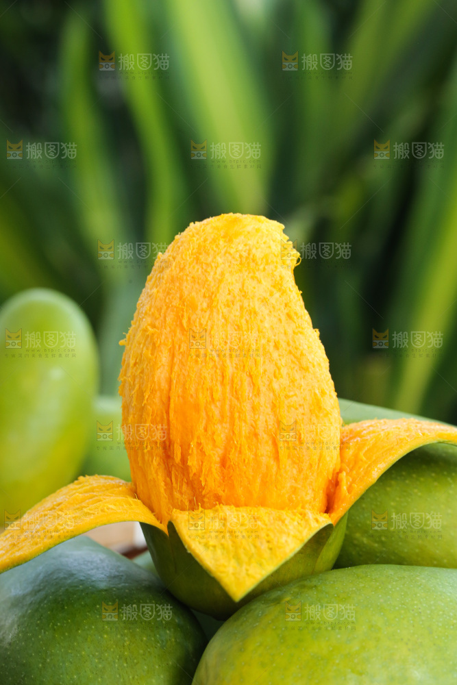 深底上的椰香芒